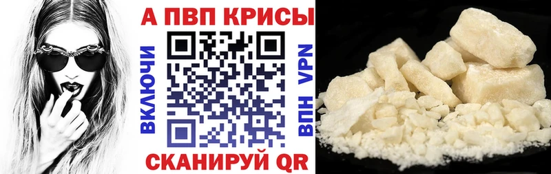 А ПВП крисы CK Кингисепп