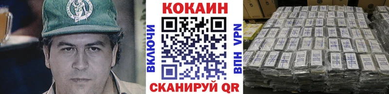 купить наркоту  Кингисепп  COCAIN Fish Scale 