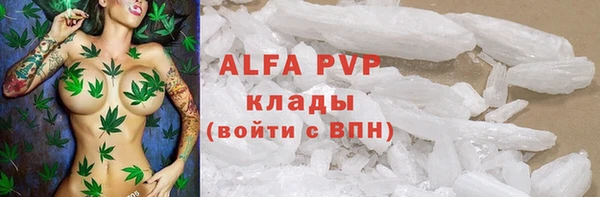 прущие грибы Абдулино