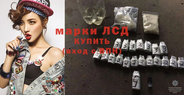 прущие грибы Абдулино