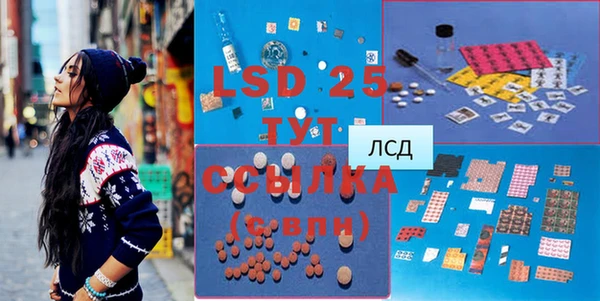 прущие грибы Абдулино