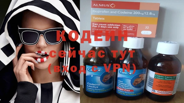 прущие грибы Абдулино