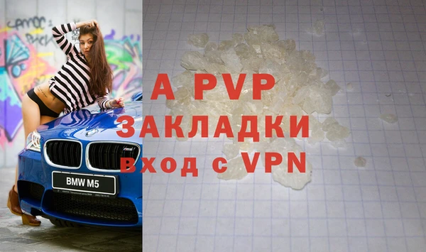 прущие грибы Абдулино